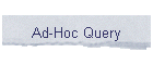 Ad-Hoc Query