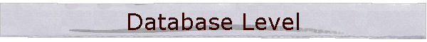 Database Level