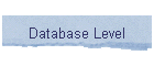 Database Level