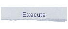 Execute